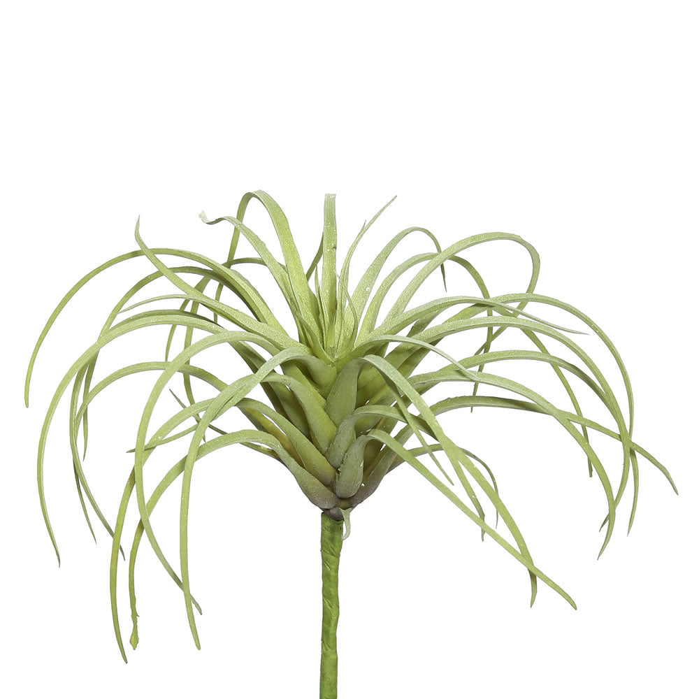 large faux air plant VICK Faux Airplant Tillandsia