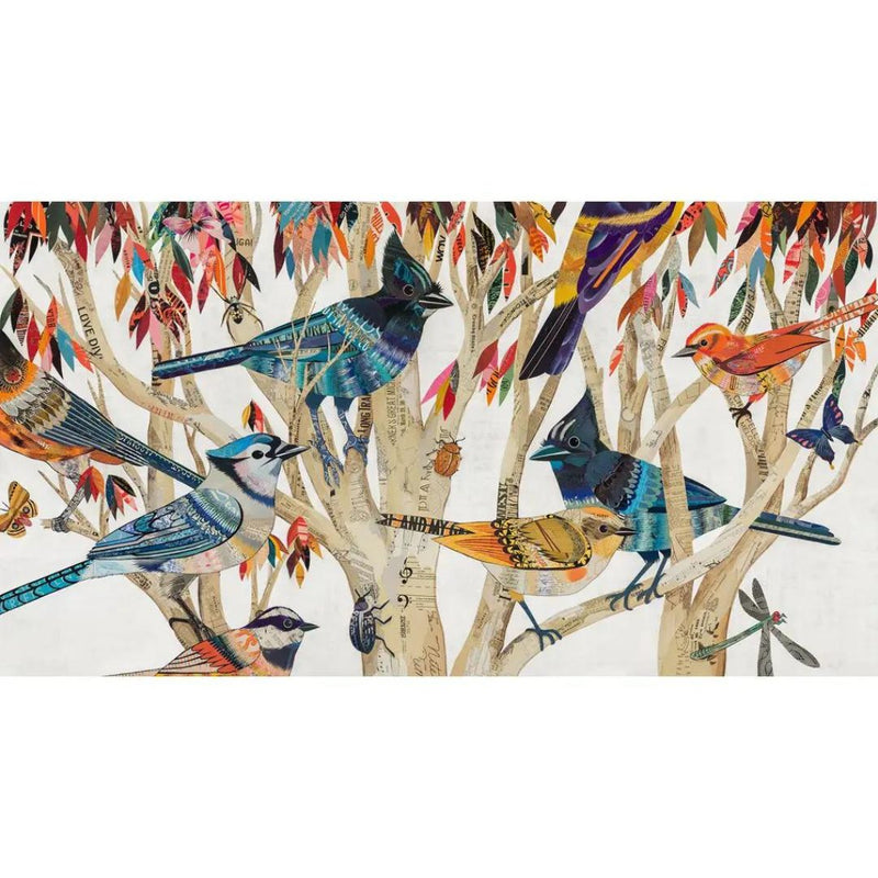 DGN Birdwatcher Print - Rancho Diaz