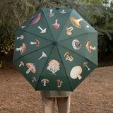 123F Umbrellas - Rancho Diaz