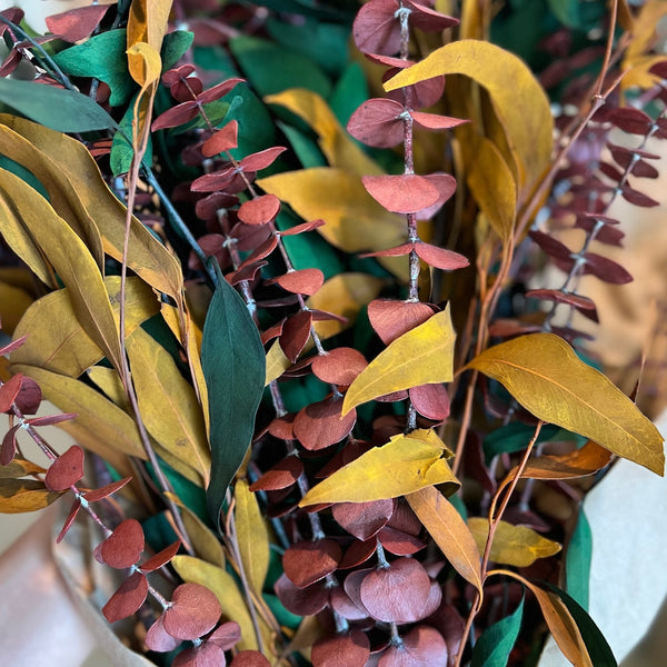 ANDL Autumn Eucalyptus Bundle(Curbside & in-store pick up only) - Rancho Diaz