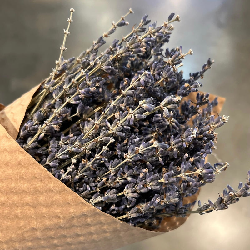 ANDL French Lavender Bundle(Curbside & in-store pick up only) - Rancho Diaz