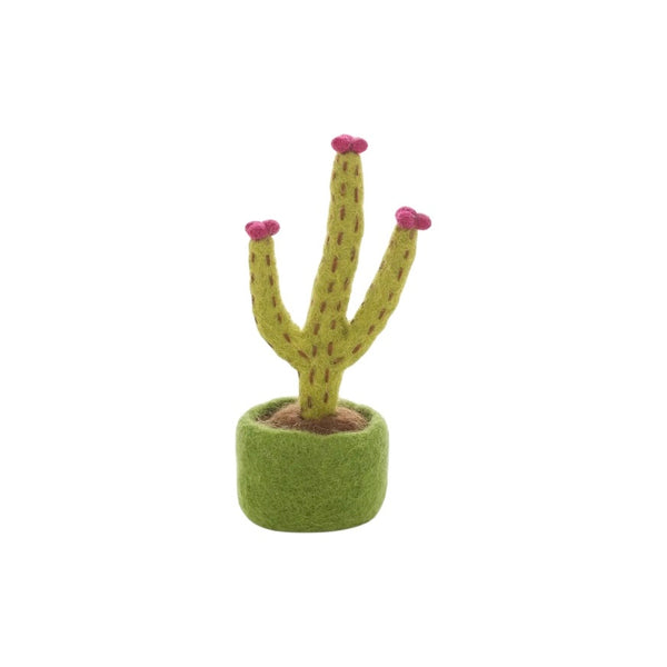 FSG Blossoming Cactus Decor Plant - Rancho Diaz