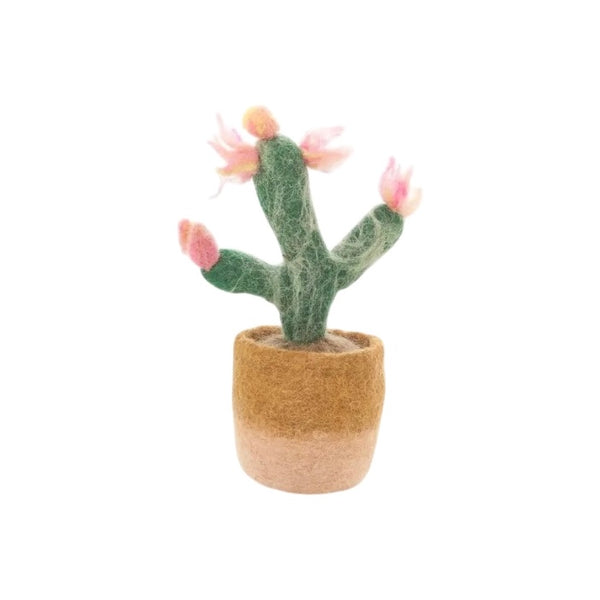 FSG Blossoming Cactus Decor Plant - Rancho Diaz