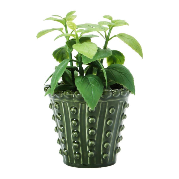 CCO Botanist Hobnail Planter (Curbside & in-store pick up only) - Rancho Diaz