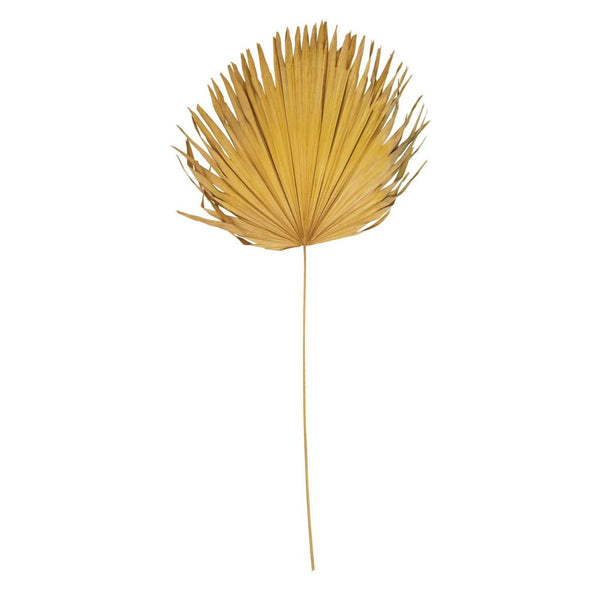 CCO Citron Bloom Dried Palm Leaf (Curbside & In-store Only) - Rancho Diaz