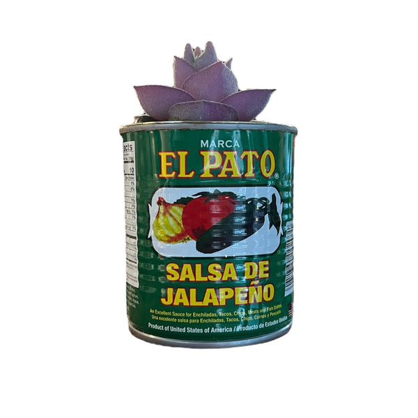 ALCT* El Pato Succulents - Rancho Diaz