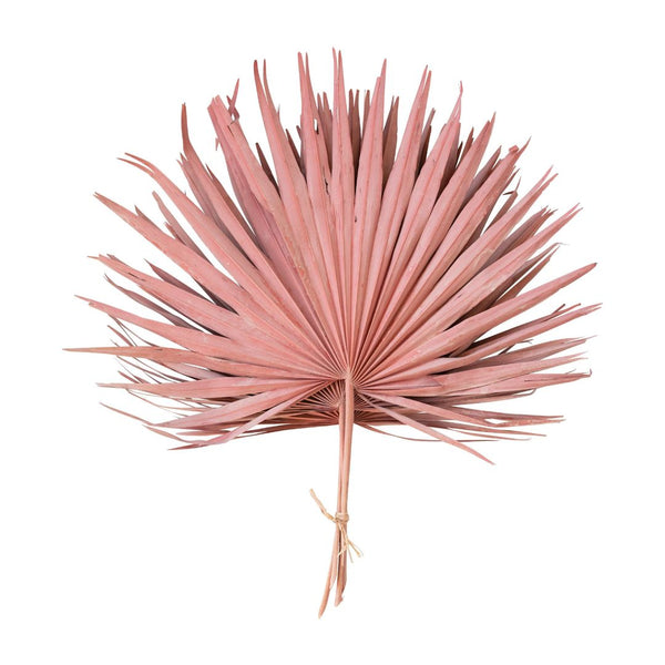 CCO Pink Bloom Dried Palm Leaf - Rancho Diaz