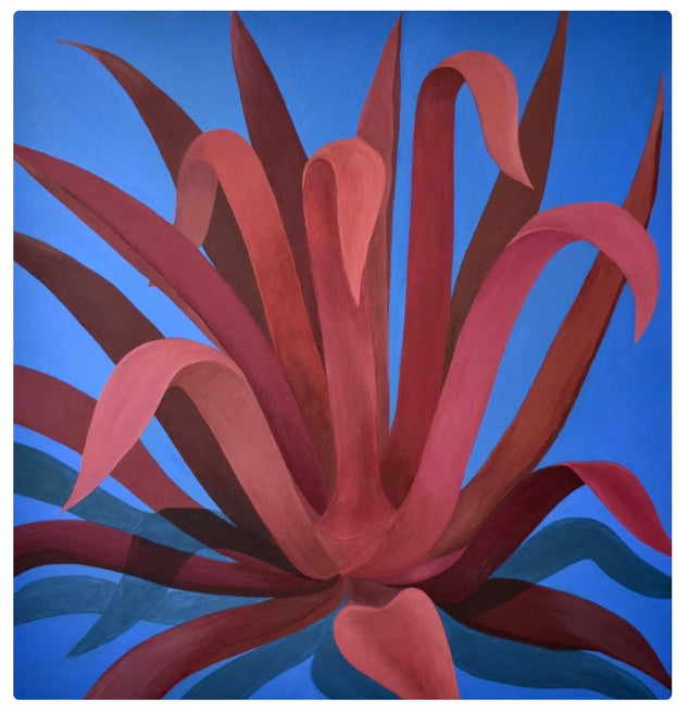 HM* Light Pink + Blue Agave Print(Curbside & in-store pick up only) - Rancho Diaz