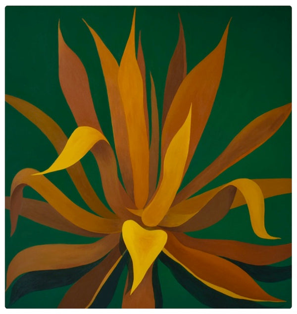 HM* Gold + Green Agave Print(Curbside & in-store pick up only) - Rancho Diaz