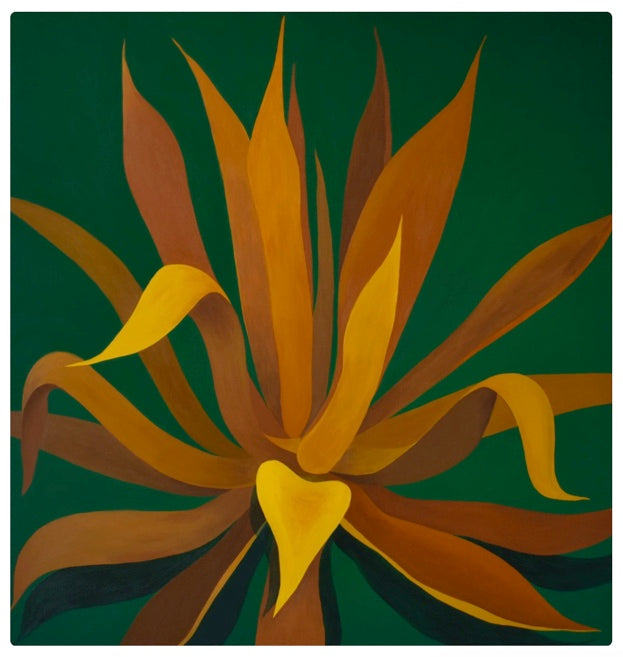 HM Gold + Green Agave Print(Curbside & in-store pick up only) - Rancho Diaz