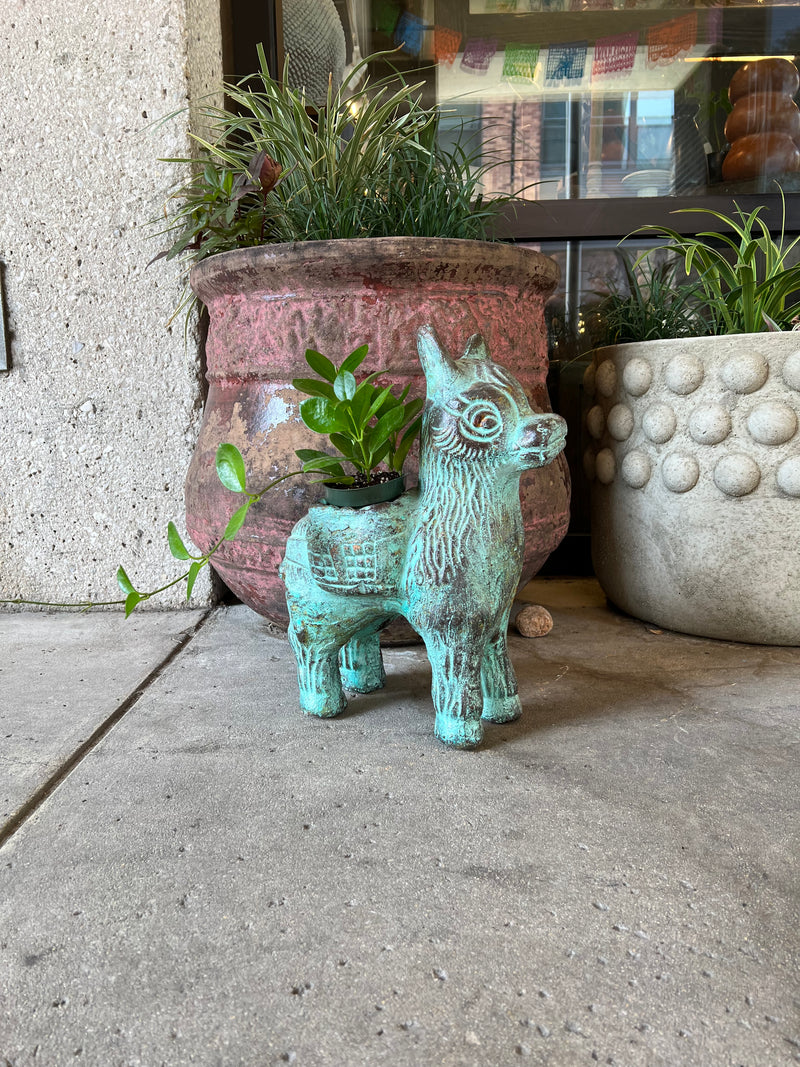 AI Burro Planter (Curbside & in-store pick up) - Rancho Diaz