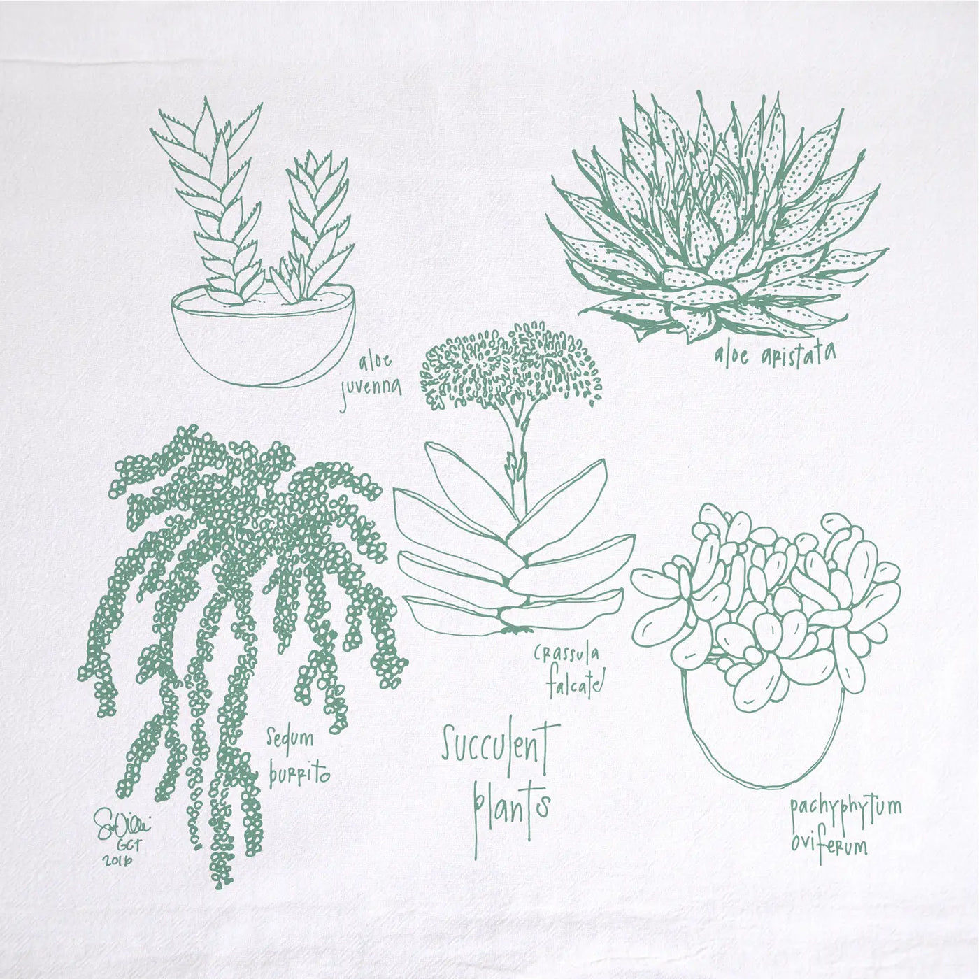 succulent tea towel GCT Succulents Tea Towel