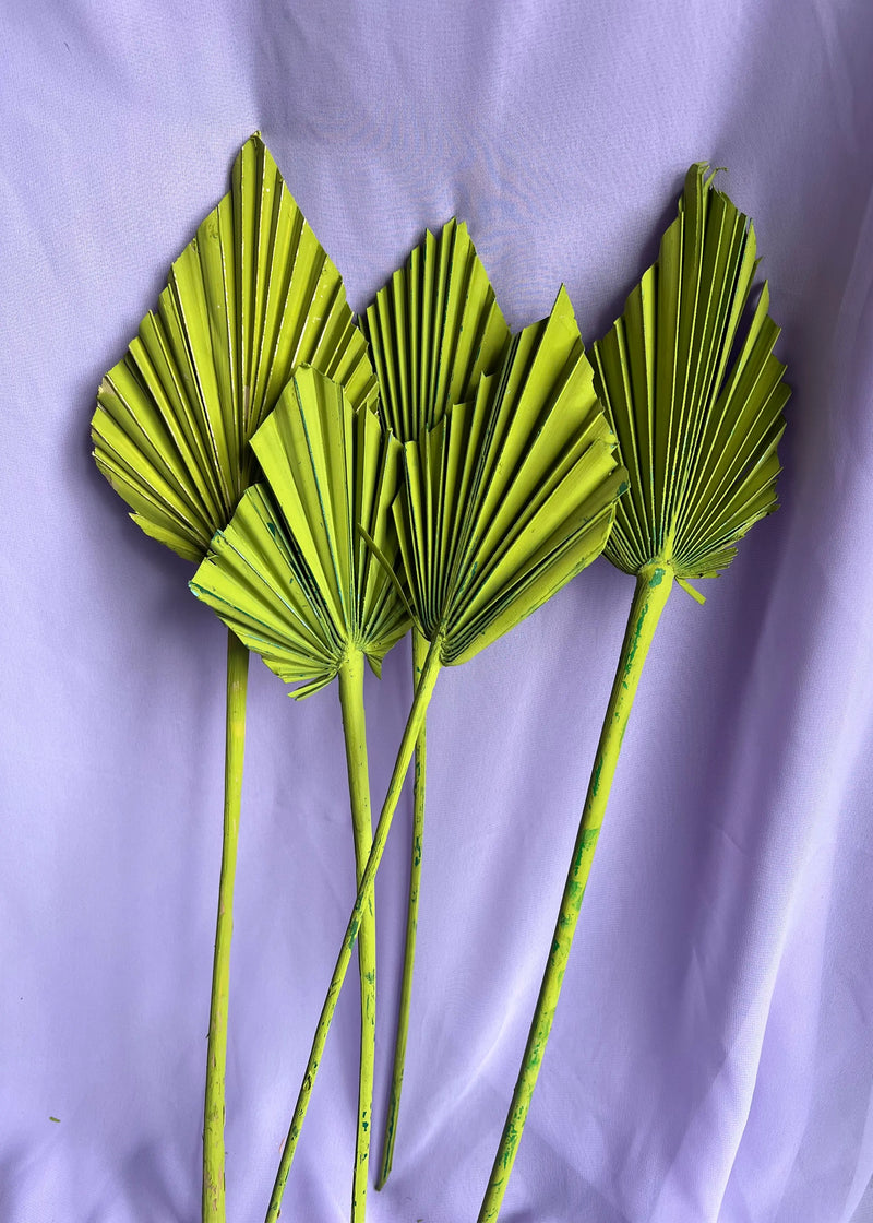 SLV Dried Palm Floral Decor (Curbside & In-Store Only) - Rancho Diaz