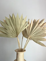 SLV Palm Leaf Decor (Curbside & In-Store Only) - Rancho Diaz