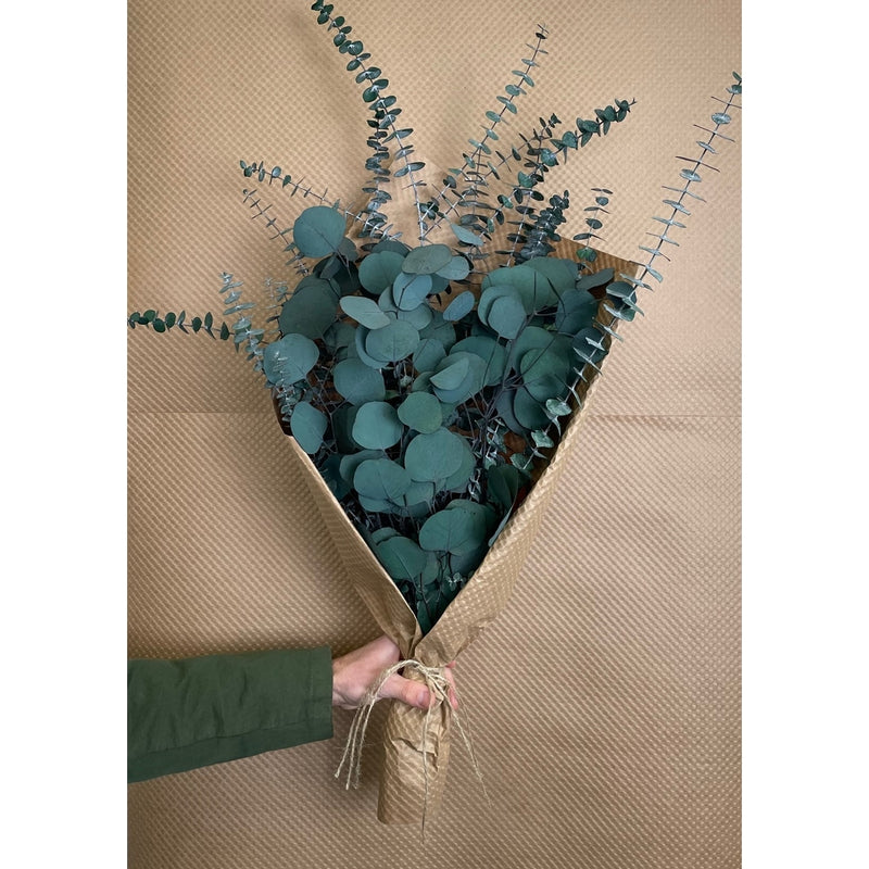 ANDL Silver Dollar & Baby Eucalyptus 8 ounce Preserved Bundle(Curbside & in-store pick up only) - Rancho Diaz
