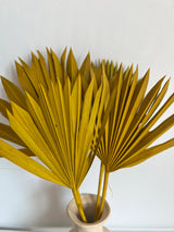 SLV Palm Leaf Decor (Curbside & In-Store Only) - Rancho Diaz